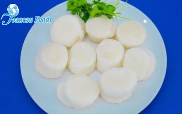 Còi Sò Điệp Nissi Nhật